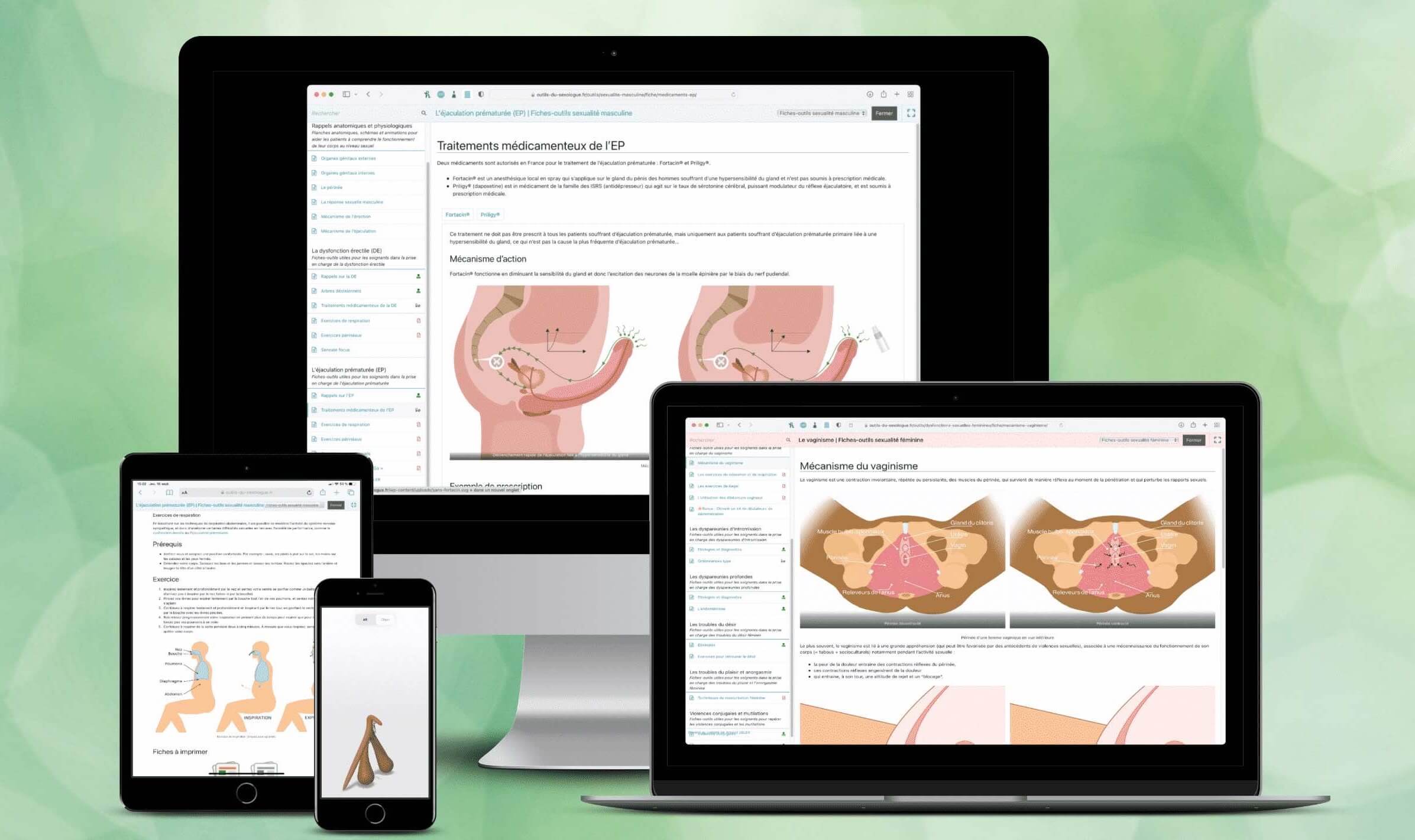Fiches-outils numériques du sexologue sur écran